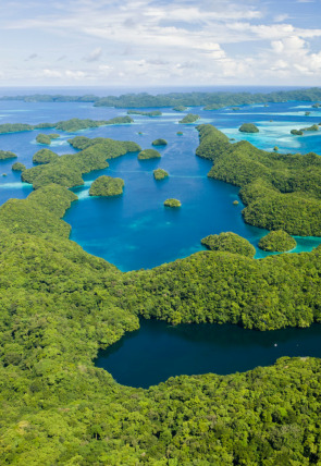 Poster de la película Arqueología en la jungla · El esqueleto misterioso de Belice - Películas hoy en TV