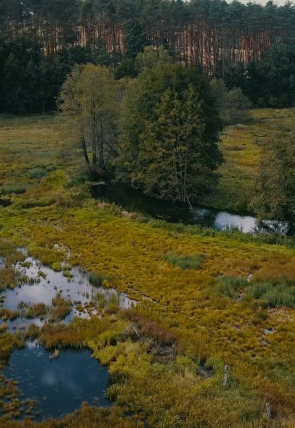 Poster de la película Turismo rural en el mundo: Polonia - Películas hoy en TV