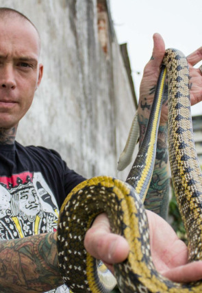 Serpientes en la ciudad · Súper serpiente en la programación de Nat Geo Wild HD (Naturaleza)