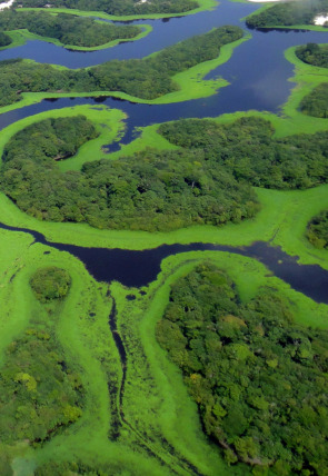 Amazonía · Paraíso depredador en la programación de Nat Geo Wild HD (Naturaleza)