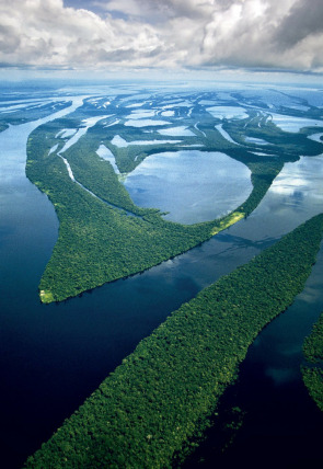 Amazonía · Paraíso depredador en la programación de Nat Geo Wild HD (Naturaleza)