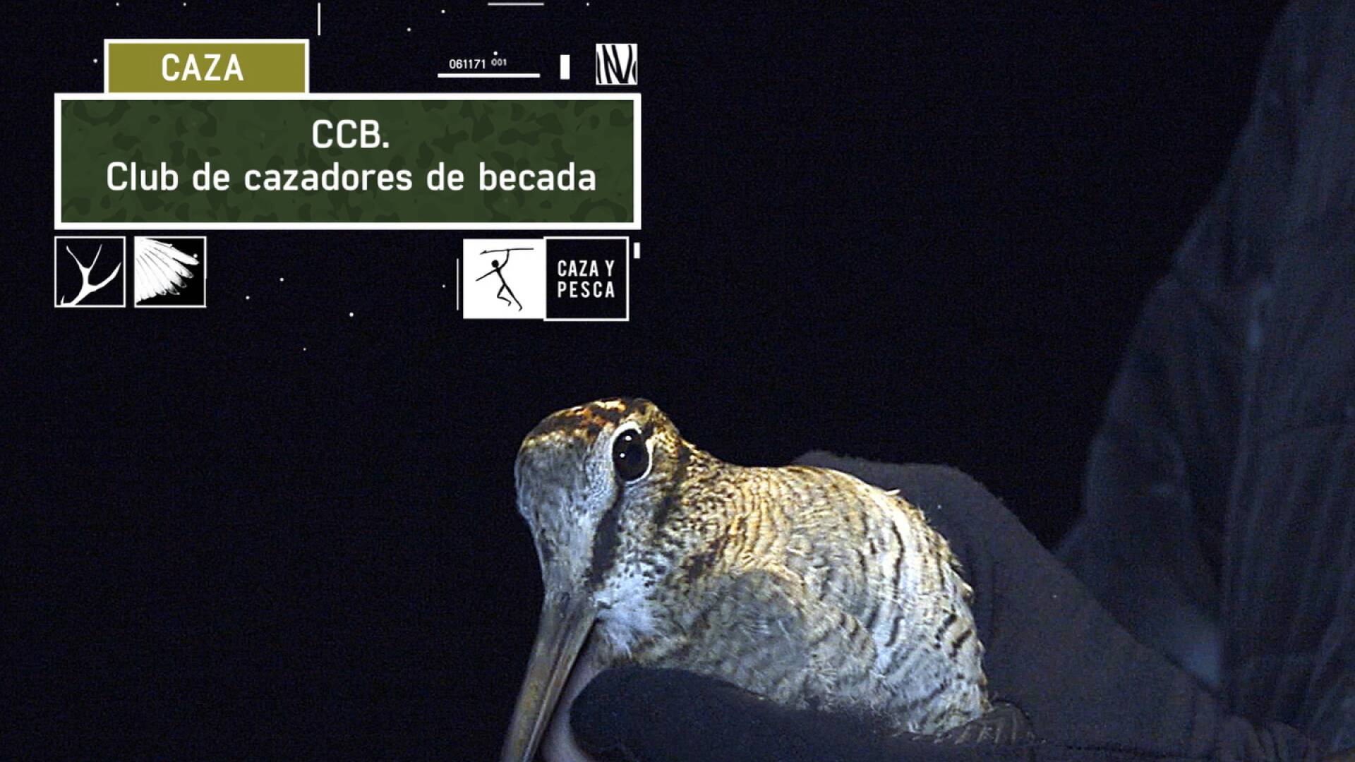 CCB: Club de Cazadores de Becada