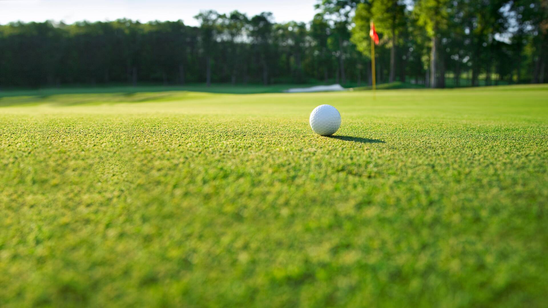 Sueños de Golf (2021): Marta Figueras - Dotti