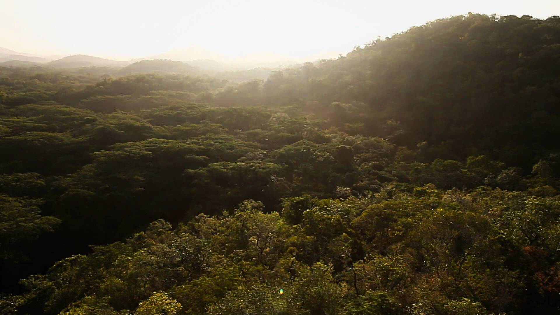 El reino perdido de los mayas