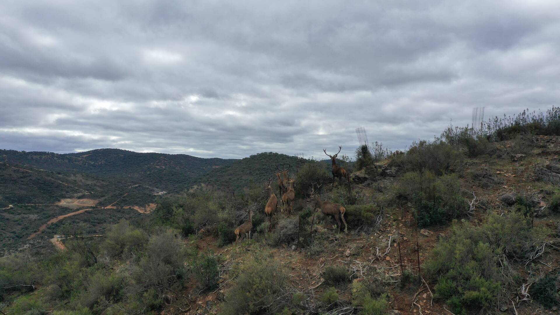 Lances en las traviesas de Zaldívar