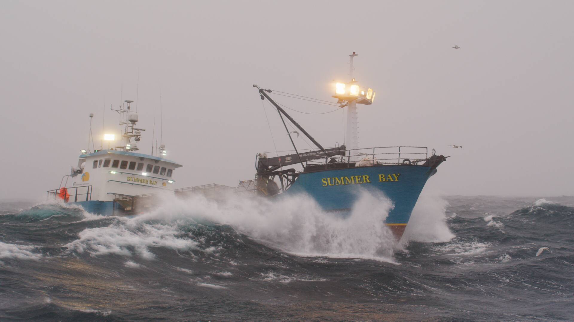 Pesca radical: La batalla del cangrejo