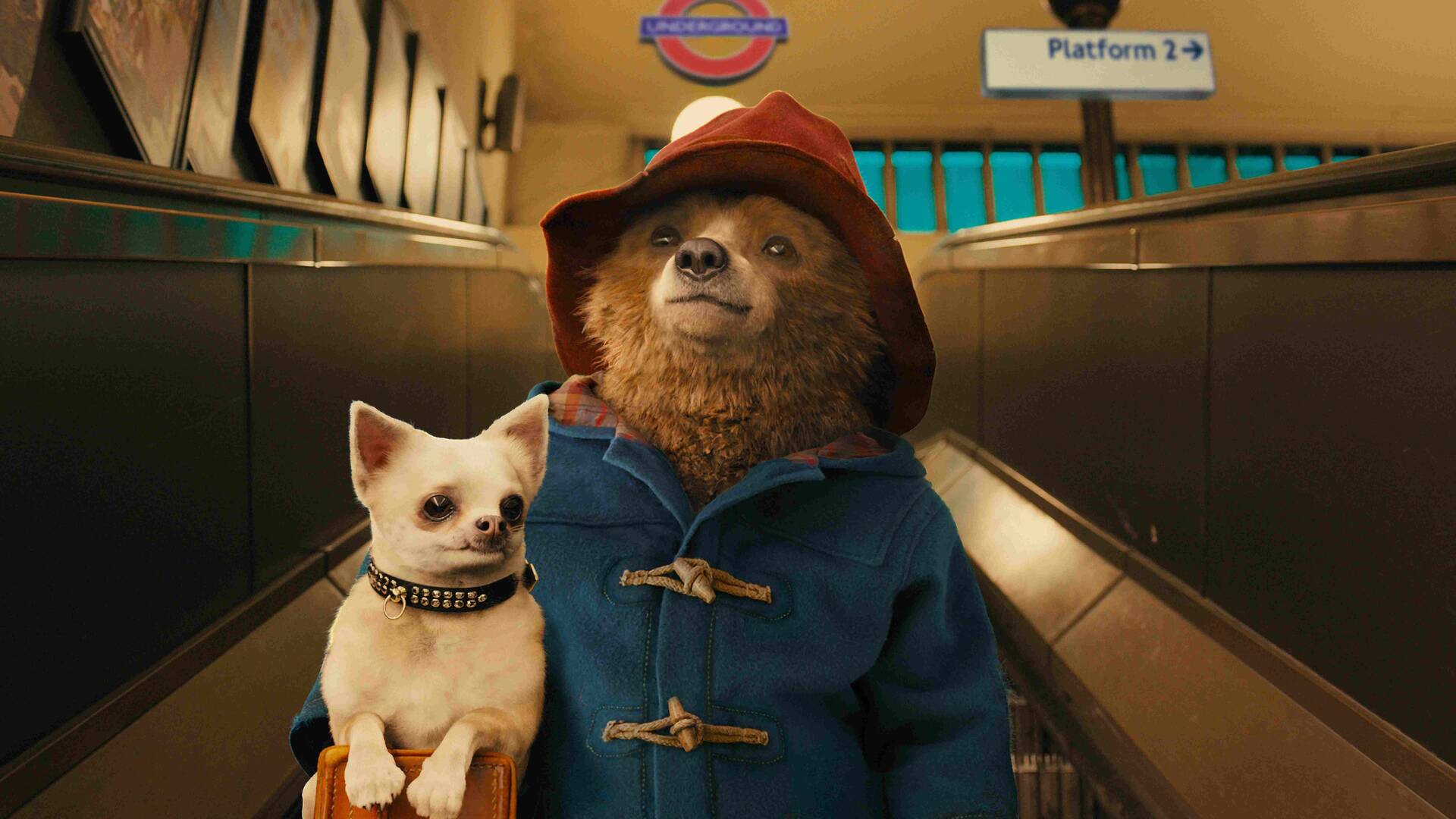 Paddington