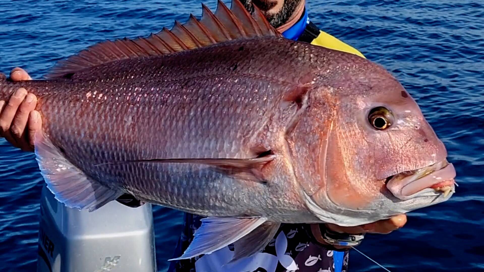 Tarifa al jigging