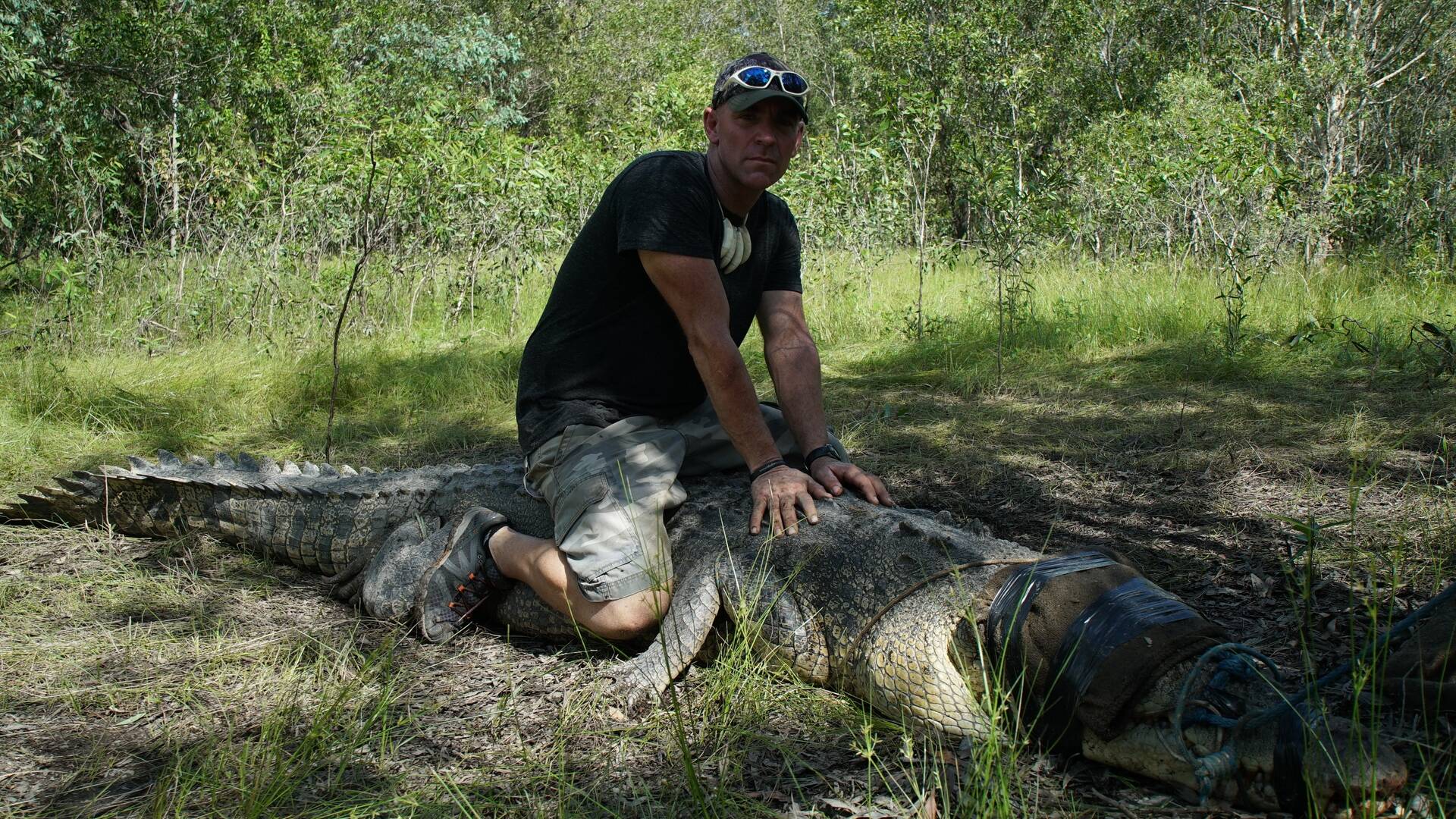 Cocodrilos asesinos