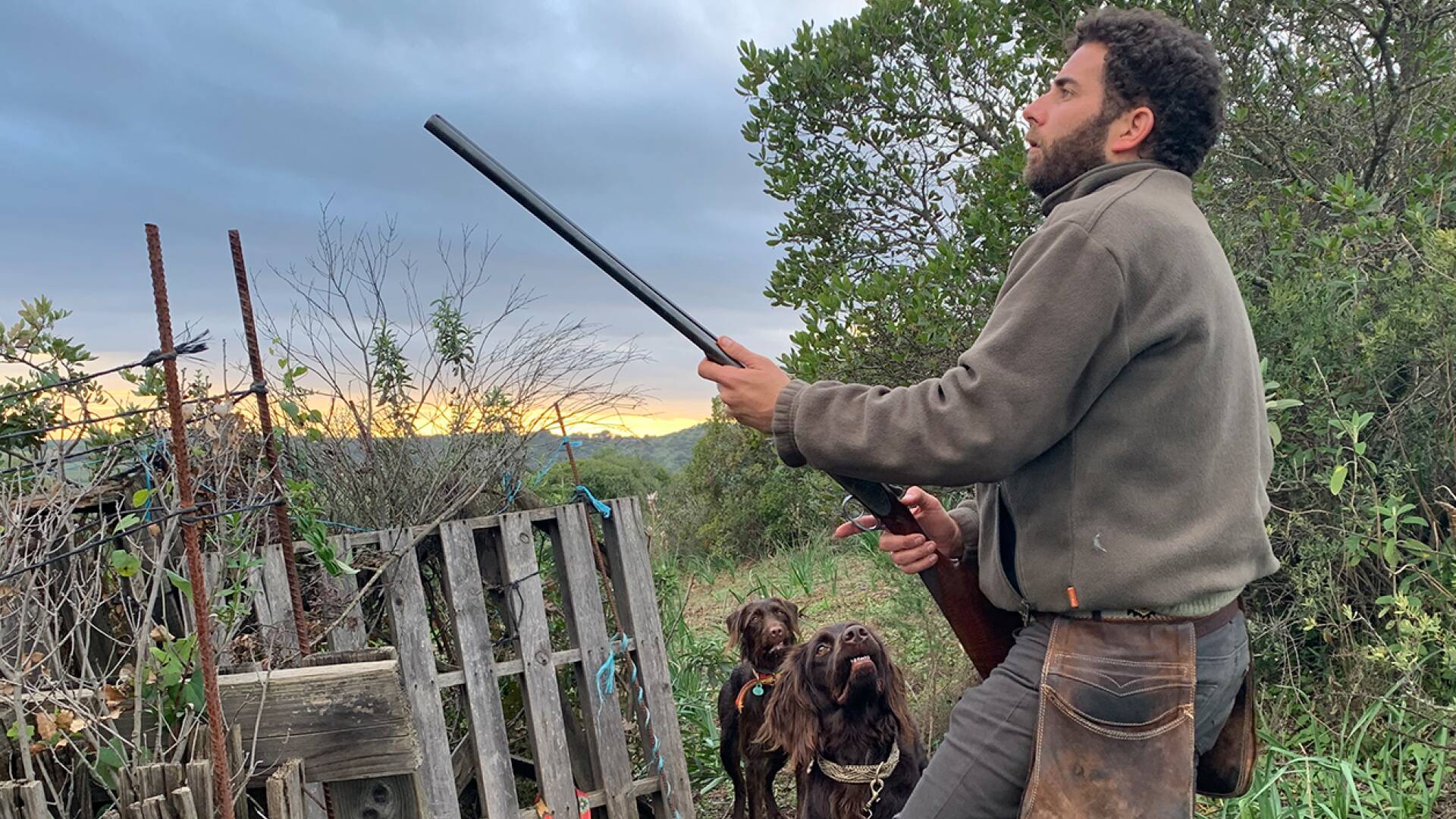 Certeros Ballesteros: Zorzales con perros nuevos