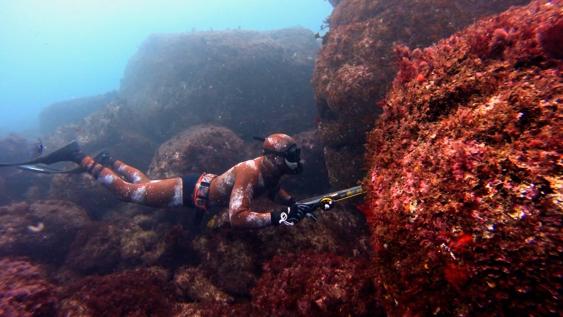 Pesca submarina en Rocadragón