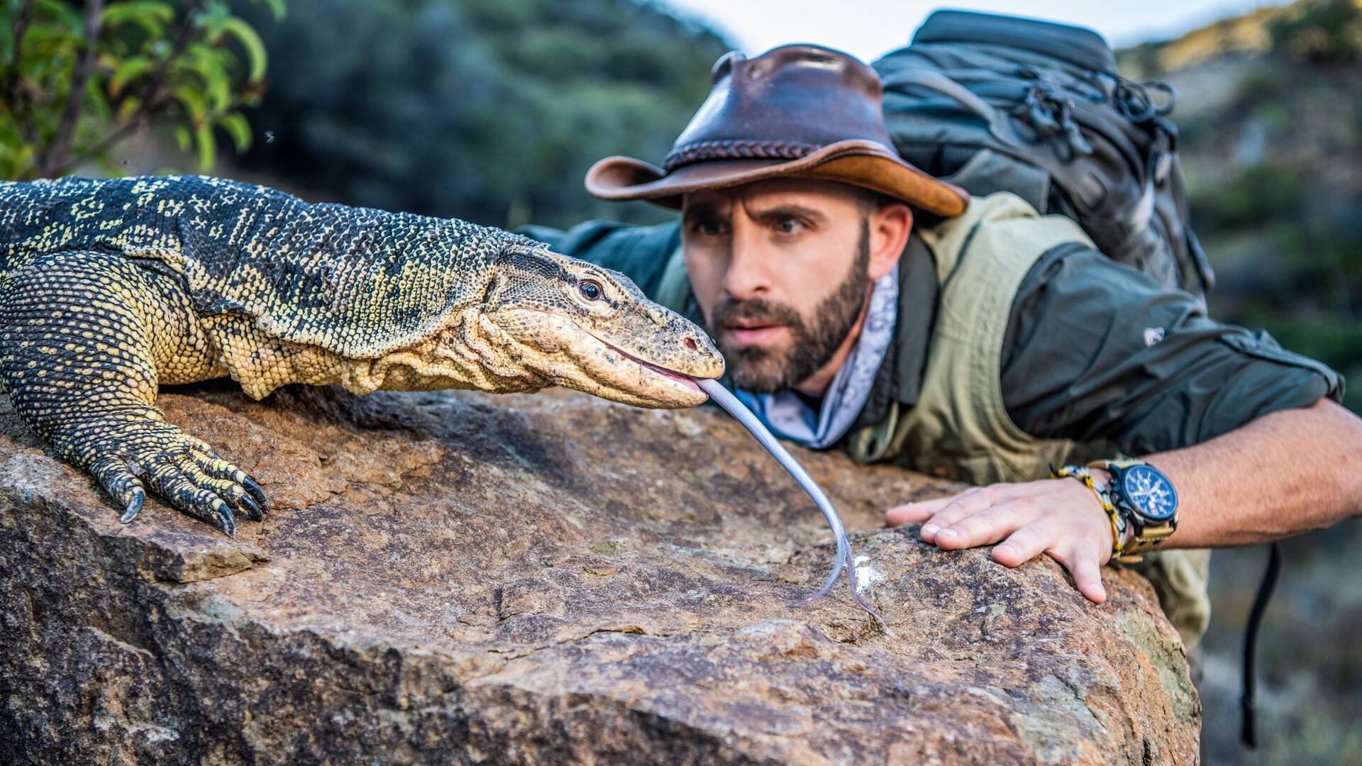 Coyote Peterson en lo...: Una serpiente pitón colosal