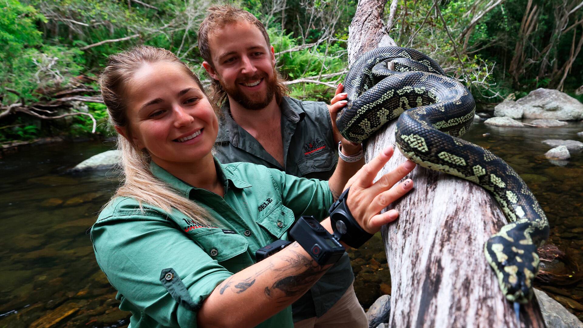 Australia: cazadores de serpientes