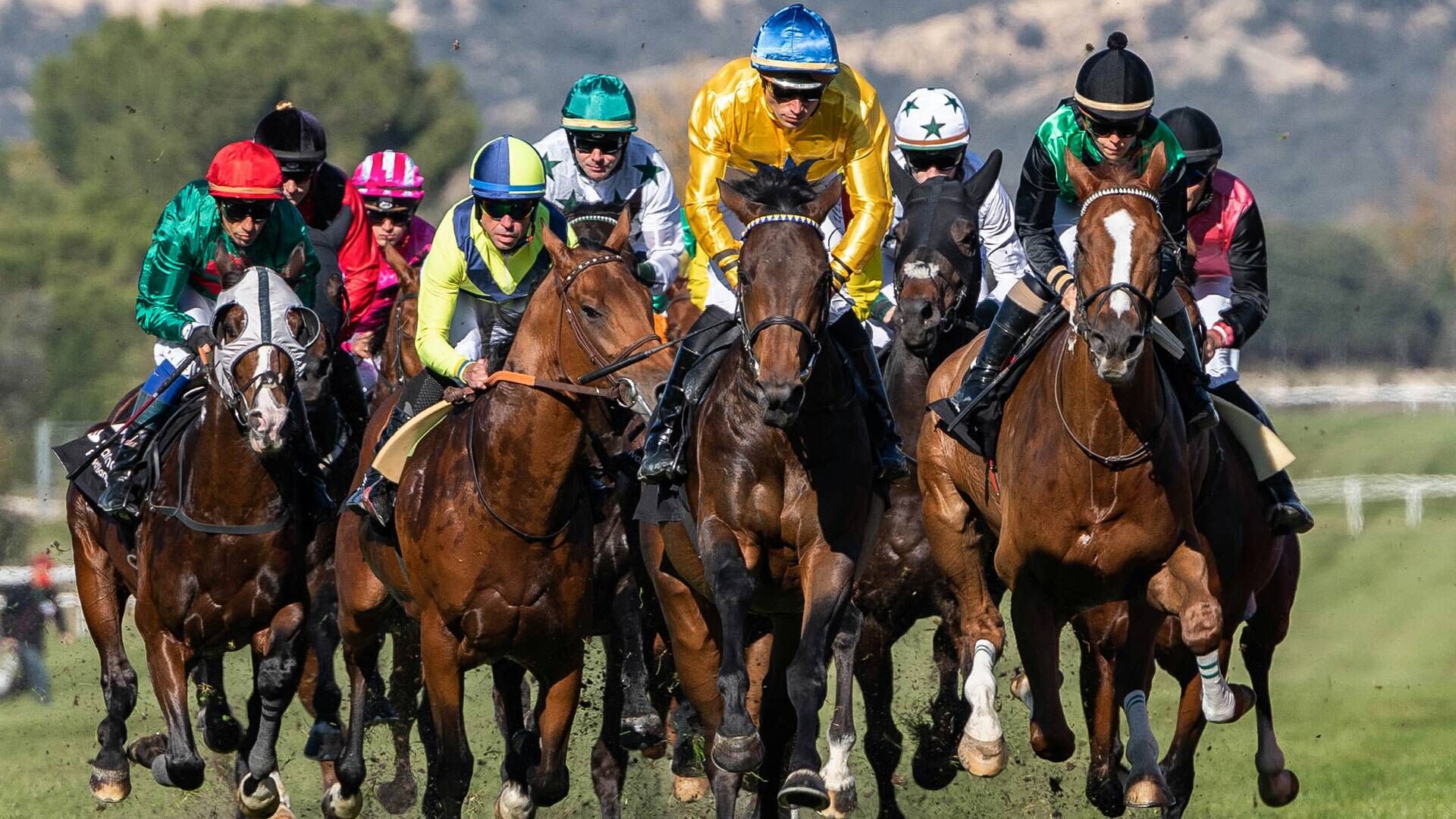 Las Carreras. Circuito profesional de carreras de caballos