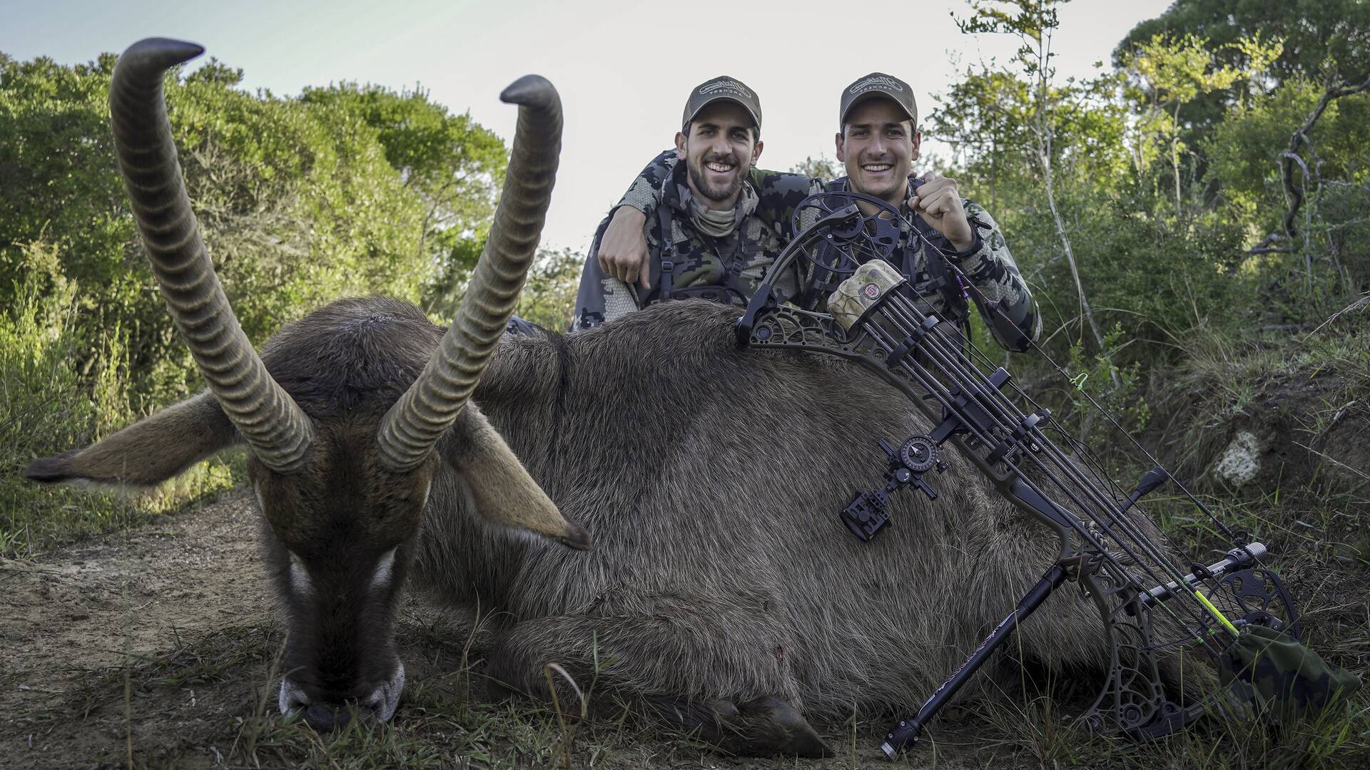 Hermanos cazadores: Arqueros Africanos