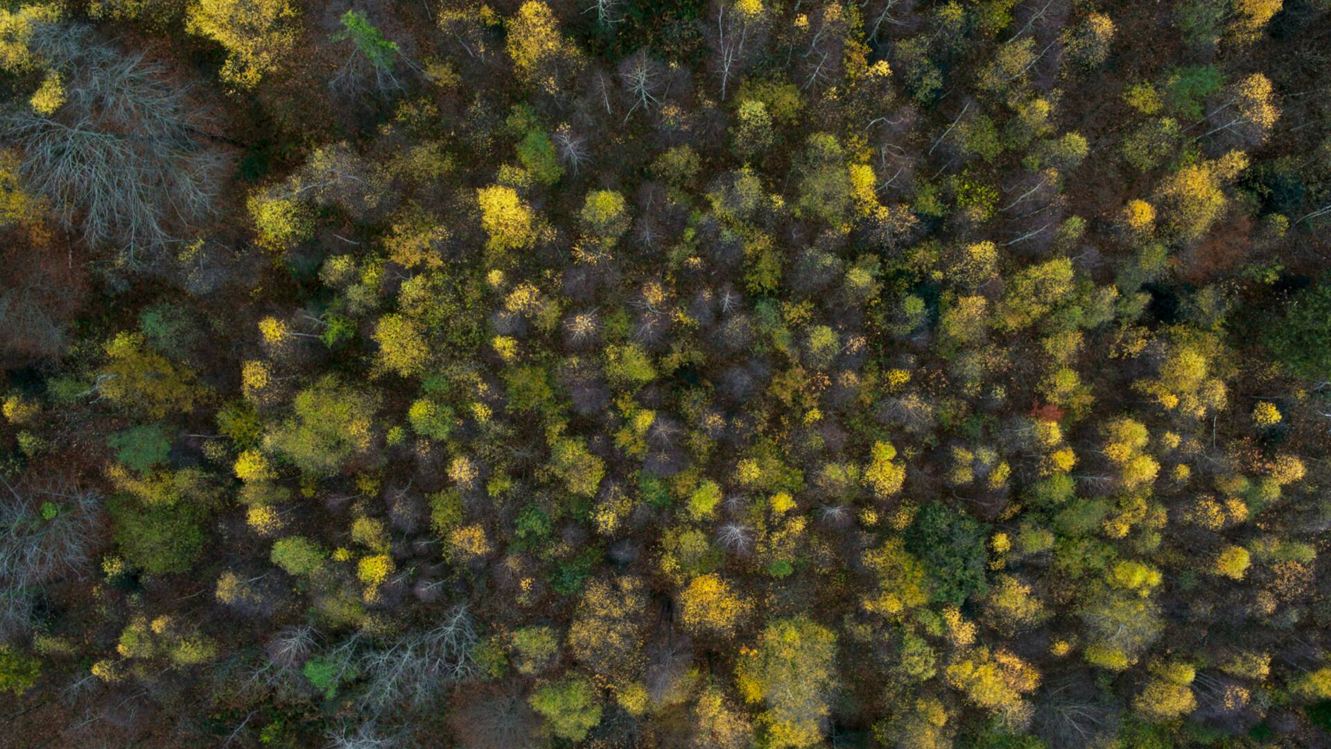 Tesoros Naturales: Del...: Entre los Pirineos y el desierto