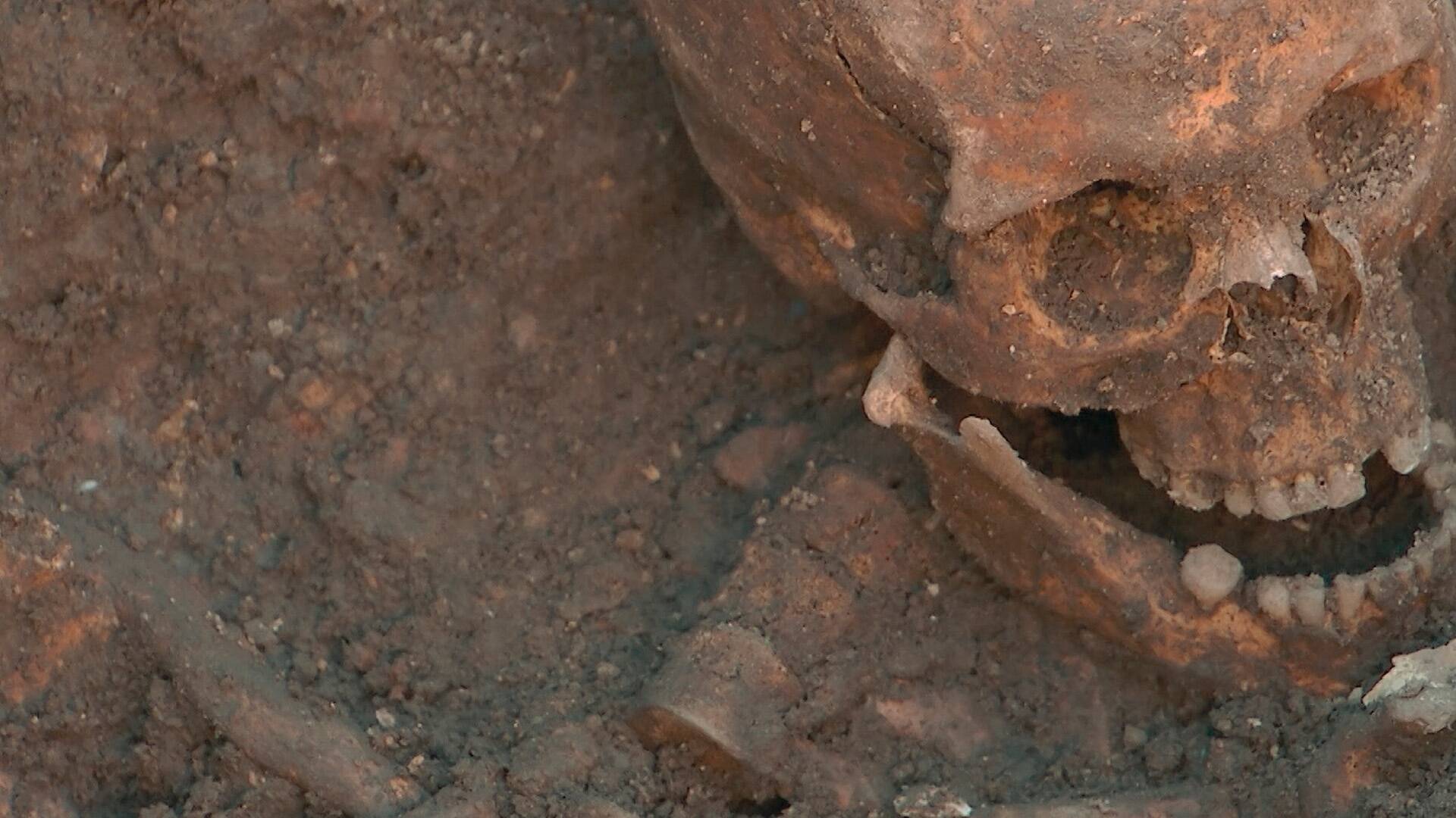 Casos abiertos de la...: Asesinato en la catedral de Florencia