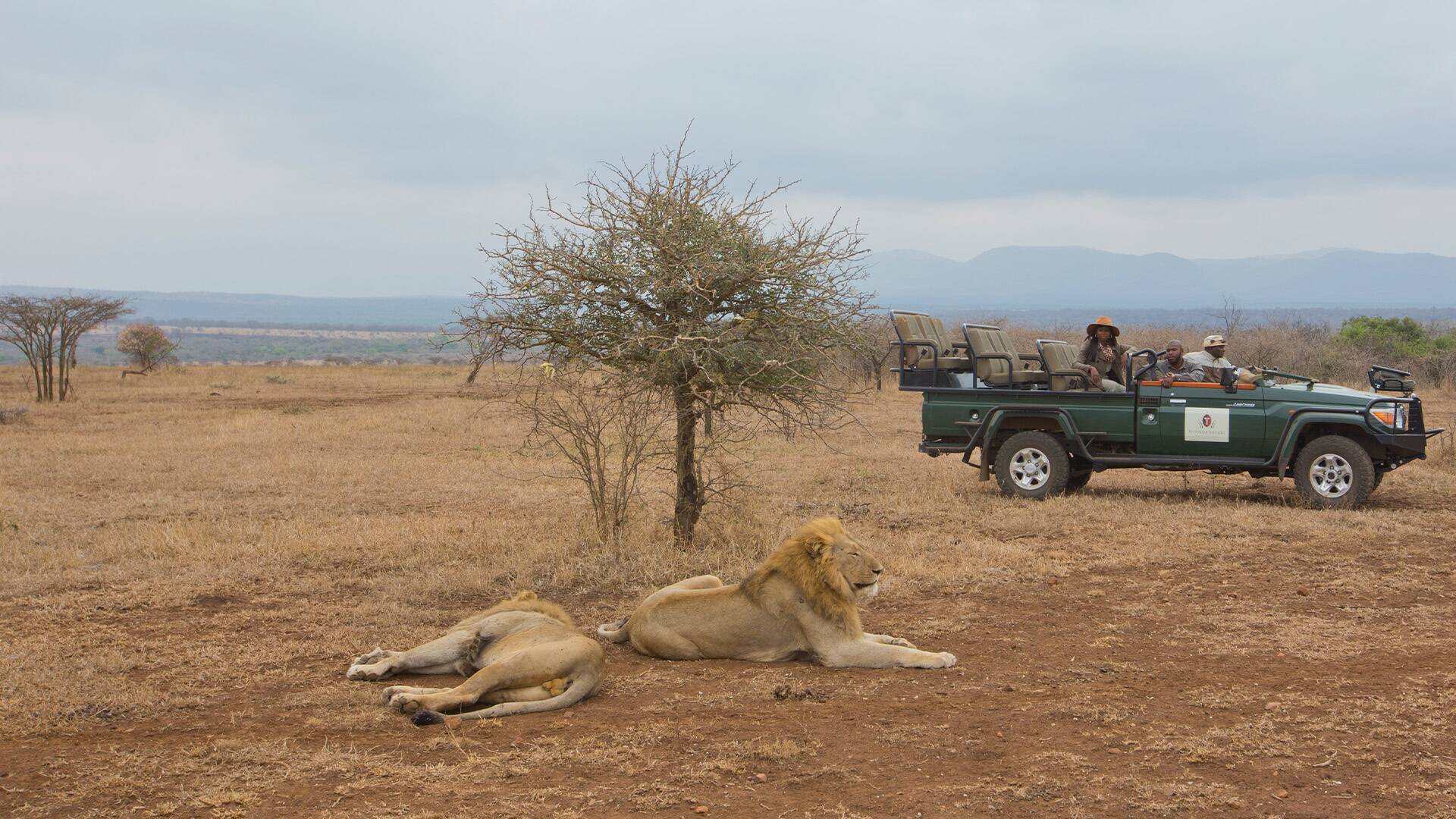 África de safari: El edén de Kruger