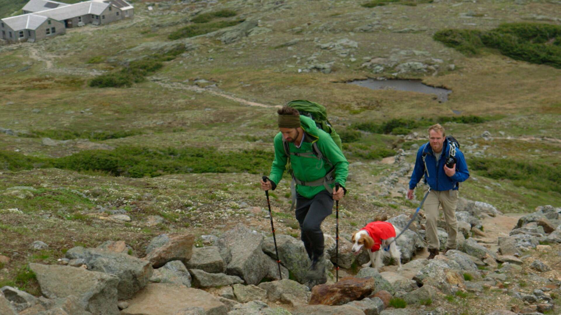 Rock the Park: Bosque Nacional de White Mountain