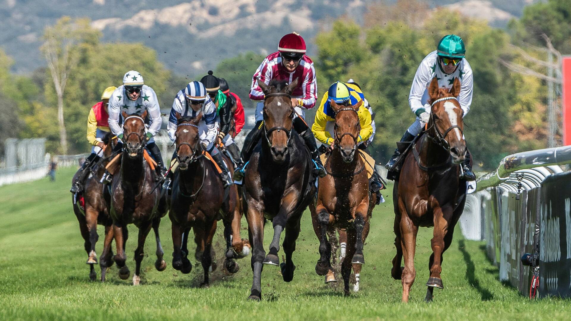 Carreras de... (2024): Hipodromo de La Zarzuela 03/11/2024