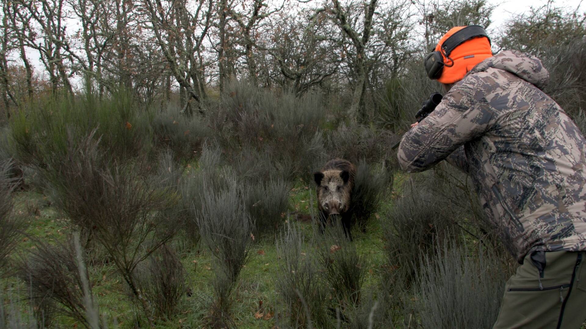 Monteando en el campo charro. 1ª parte