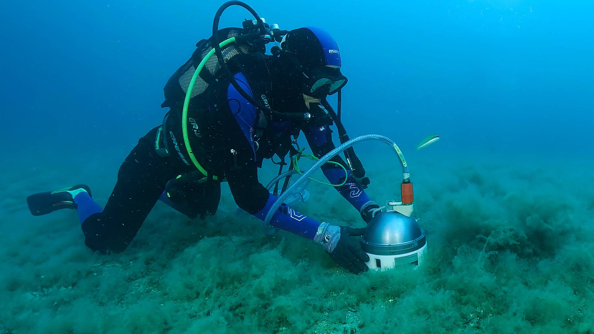 ¿Preparados para el Tsunami?