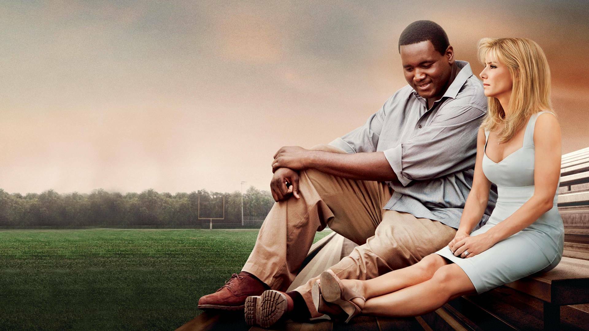 The Blind Side (Un sueño posible)