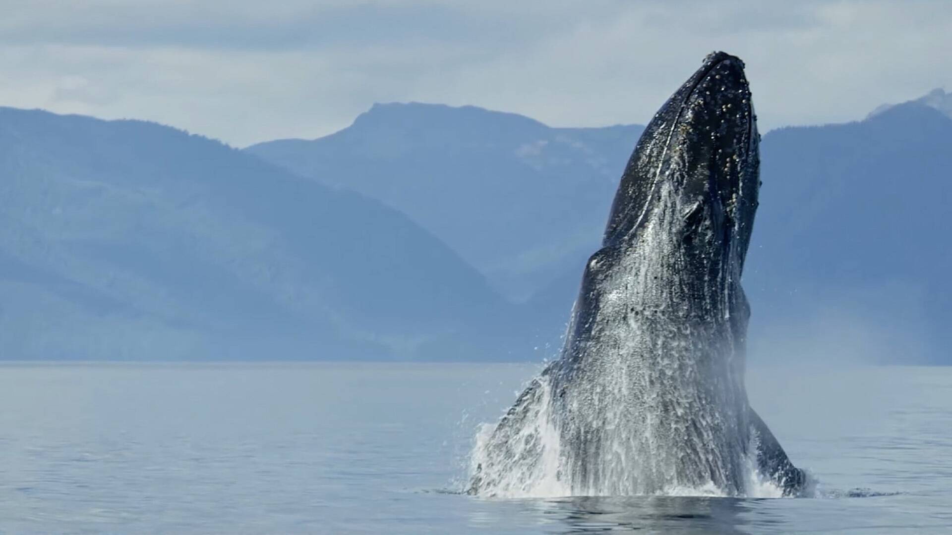 El alma de los océanos