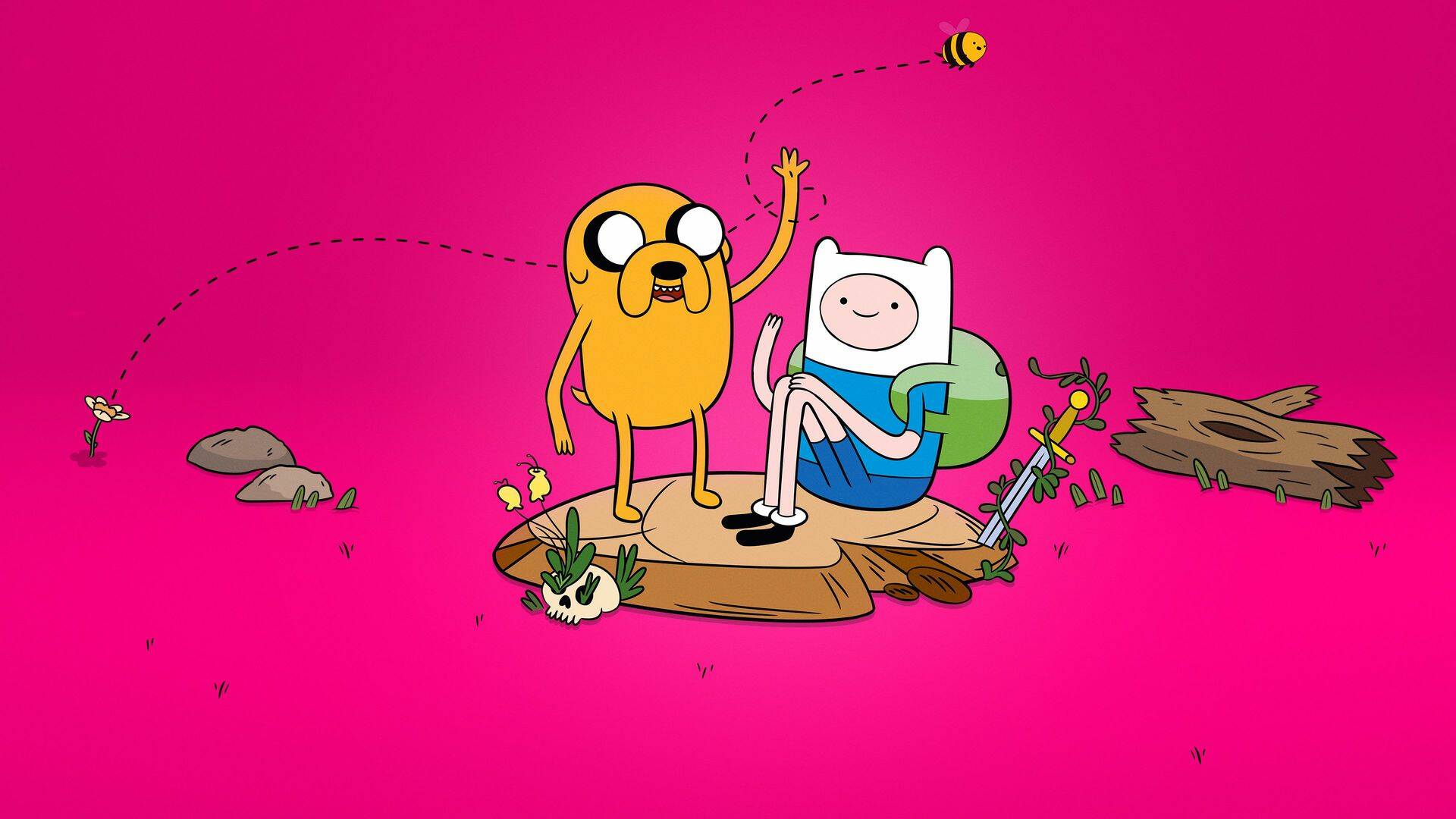 Hora De Aventuras (T9): Fionna y Cake y Fionna.