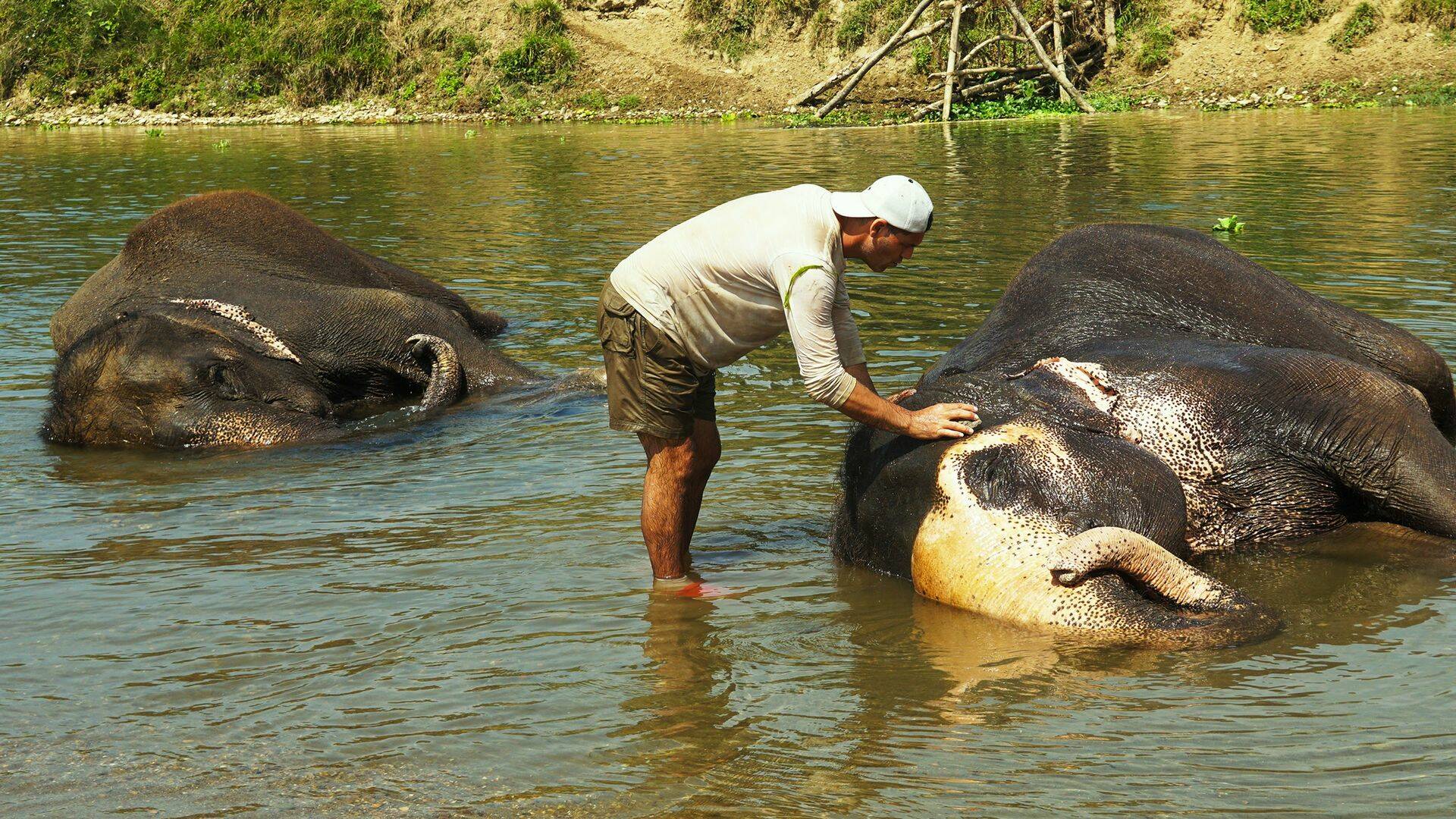 Wild Frank en India, Season 1: Ep.6