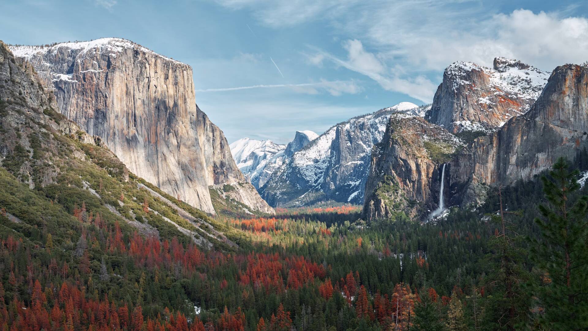 Norteamérica: Wild Yellowstone: La loba