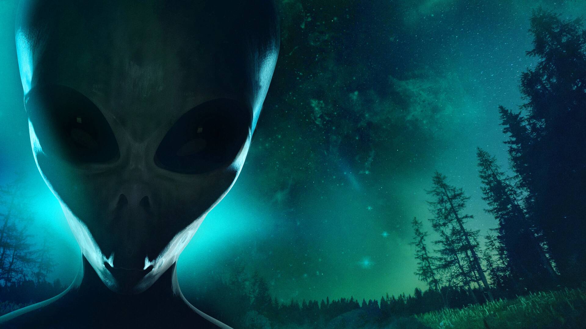 Los visitantes: abducción alien