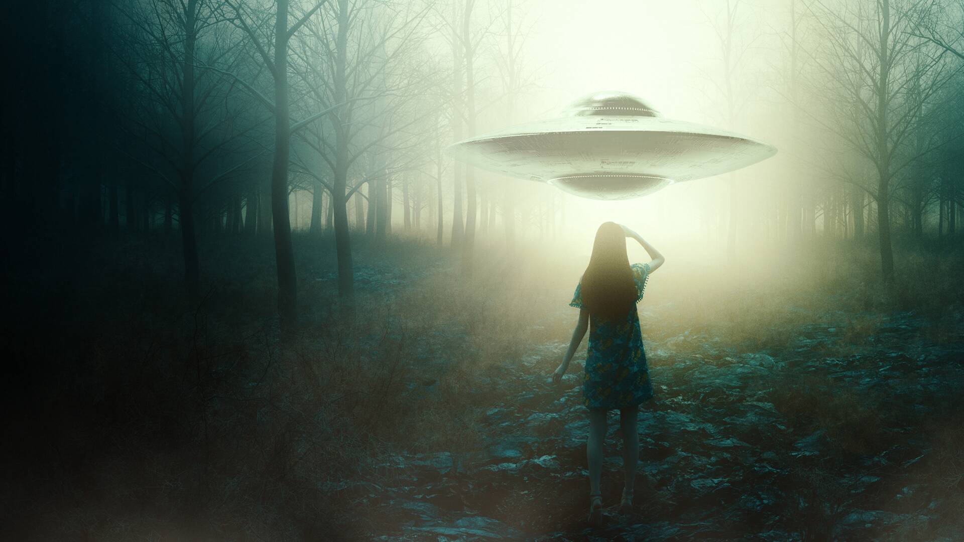 UFO Witness (T1)