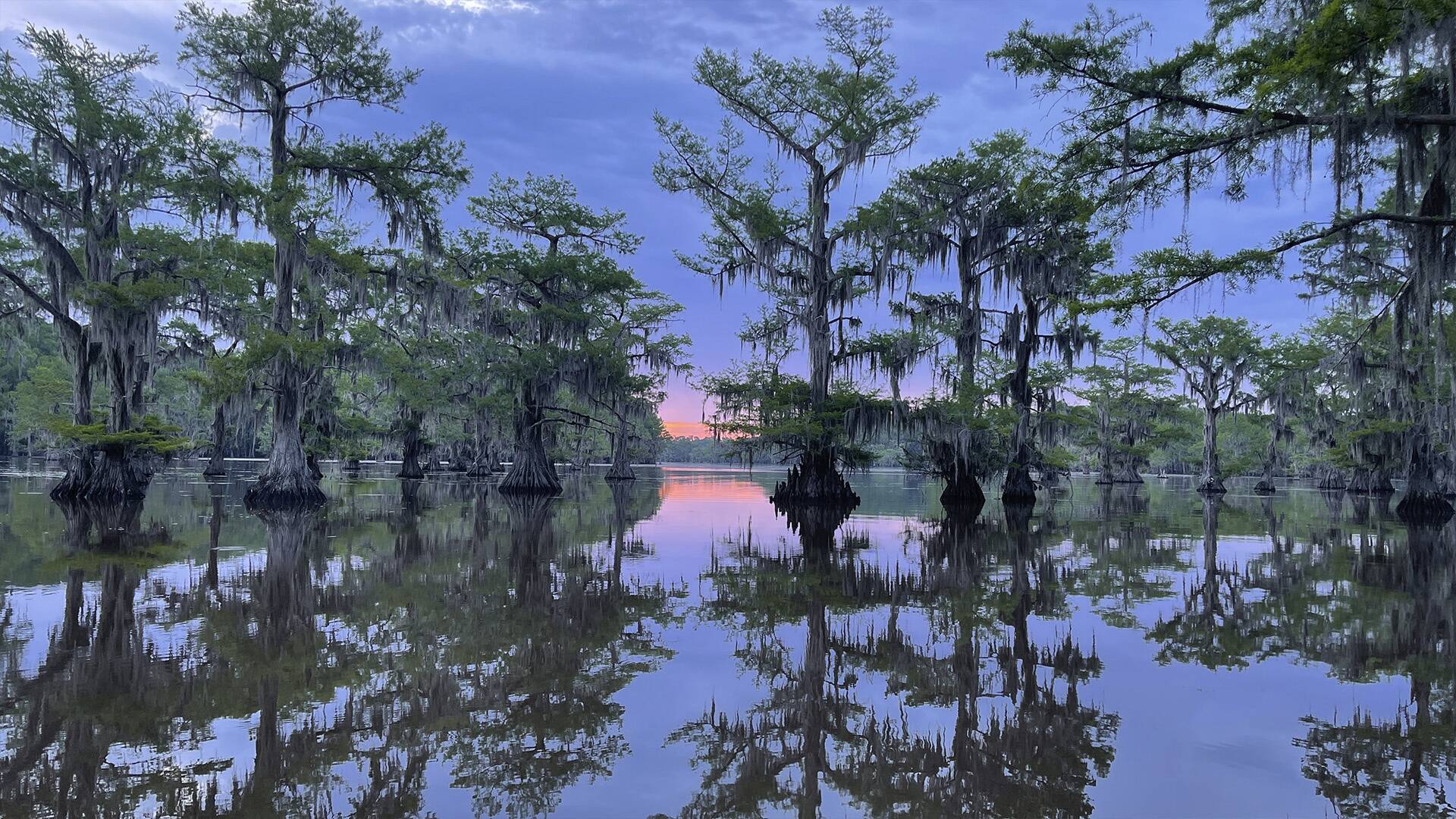 Descubriendo Texas: el estado de la estrella solitaria