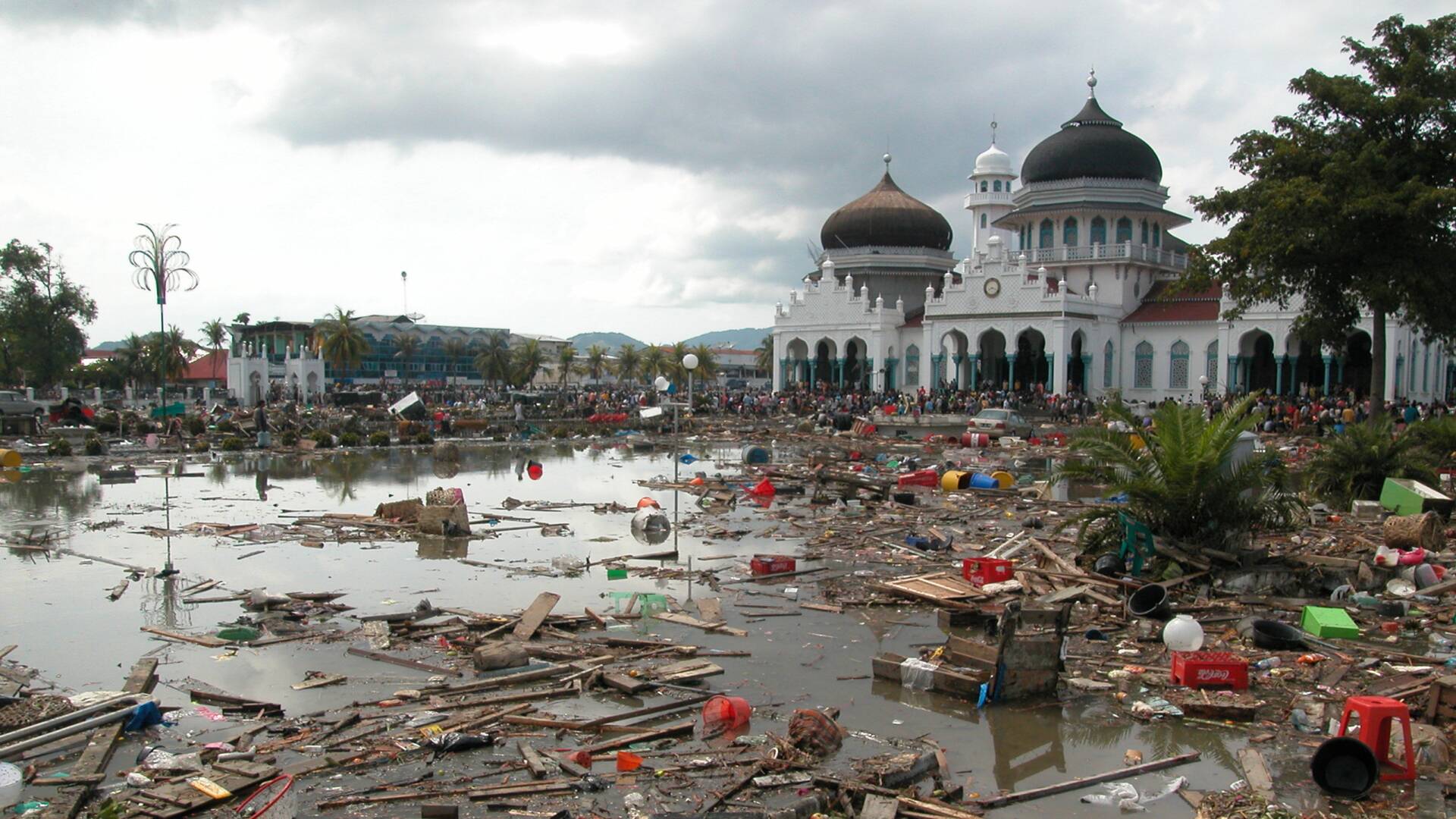 Tsunami: La carrera contra el tiempo