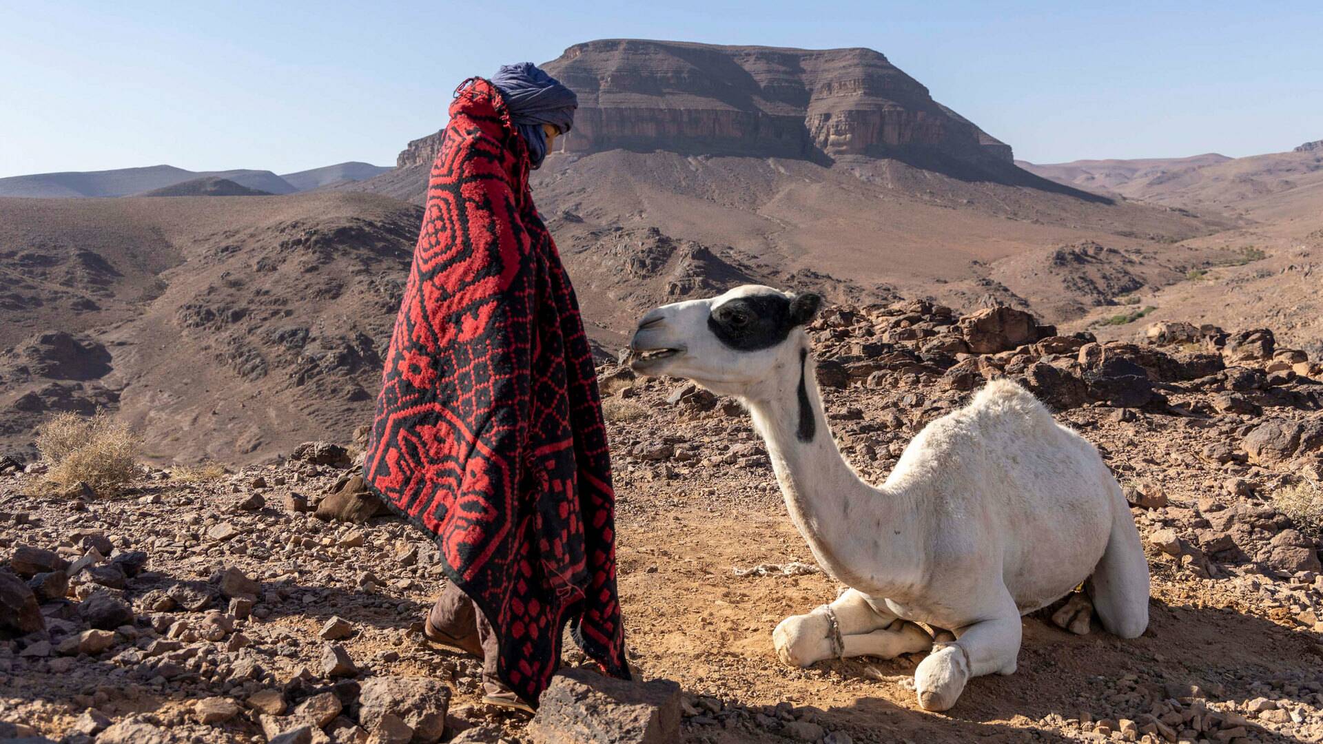 Zodi & Tehu, aventuras en el desierto