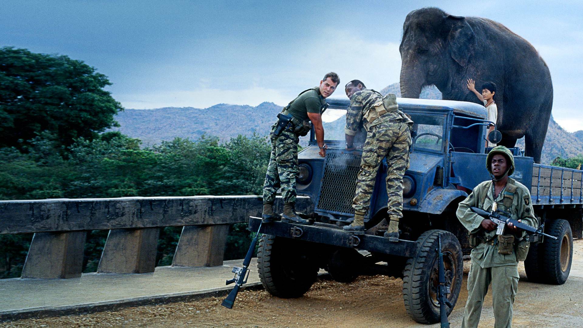 Operación elefante