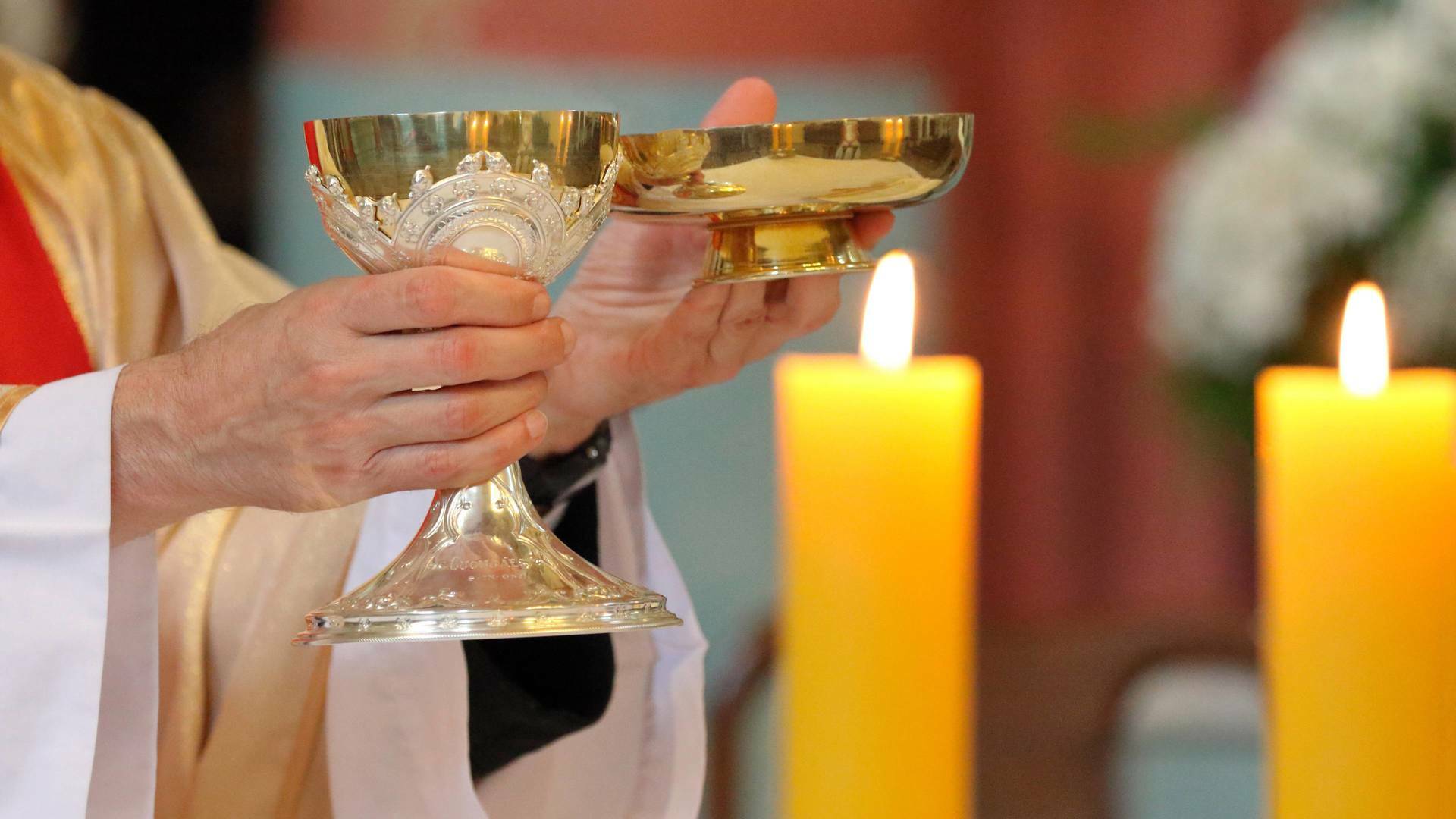 Santa misa de acción de gracias por la canonización de Madre Teresa de Calcuta