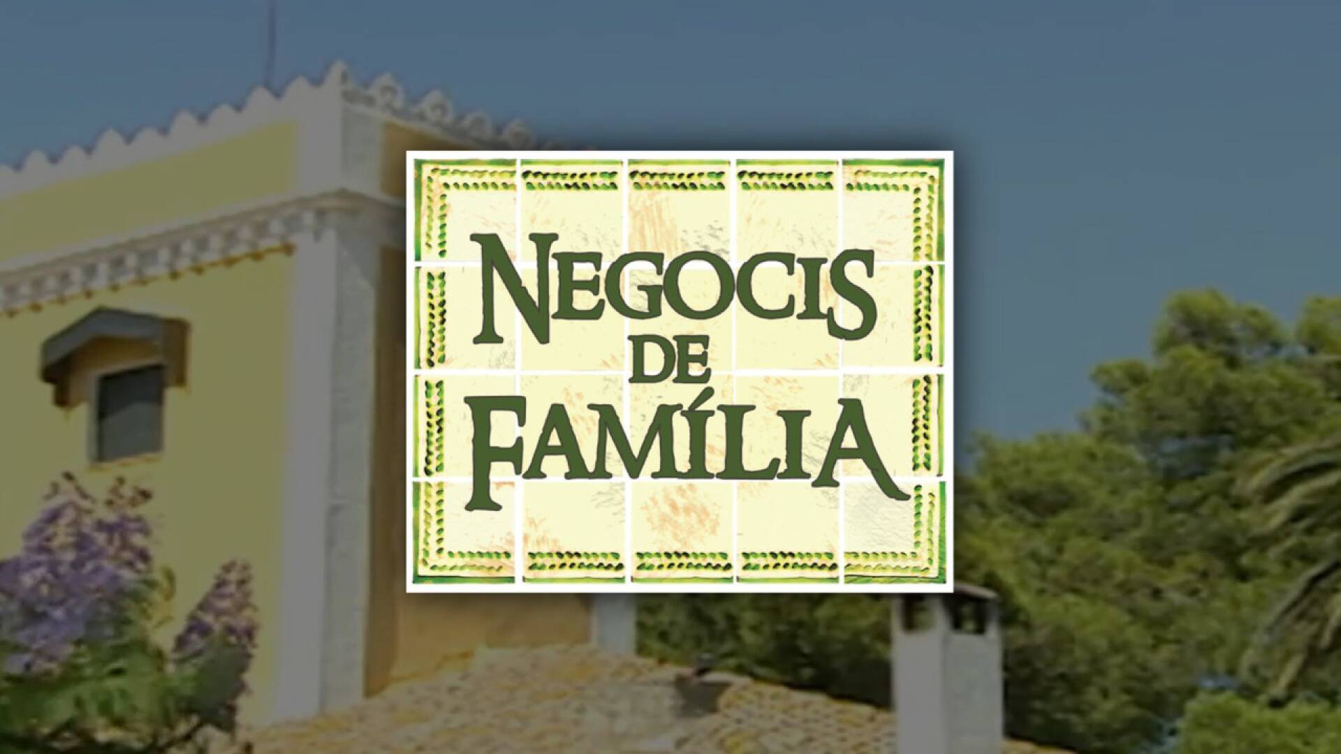 Negocis de família