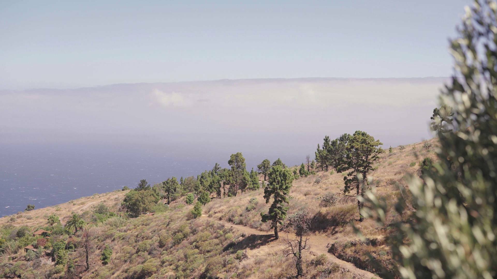 Rincones isleños