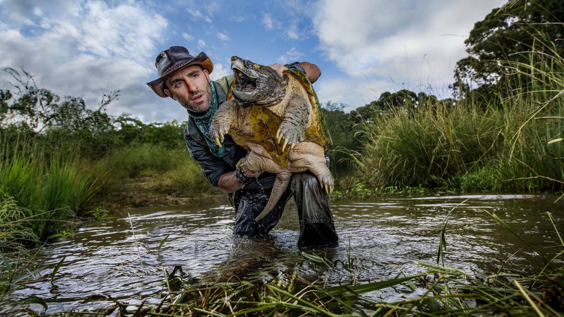 Coyote Peterson en lo...: Tiburones en las sombras