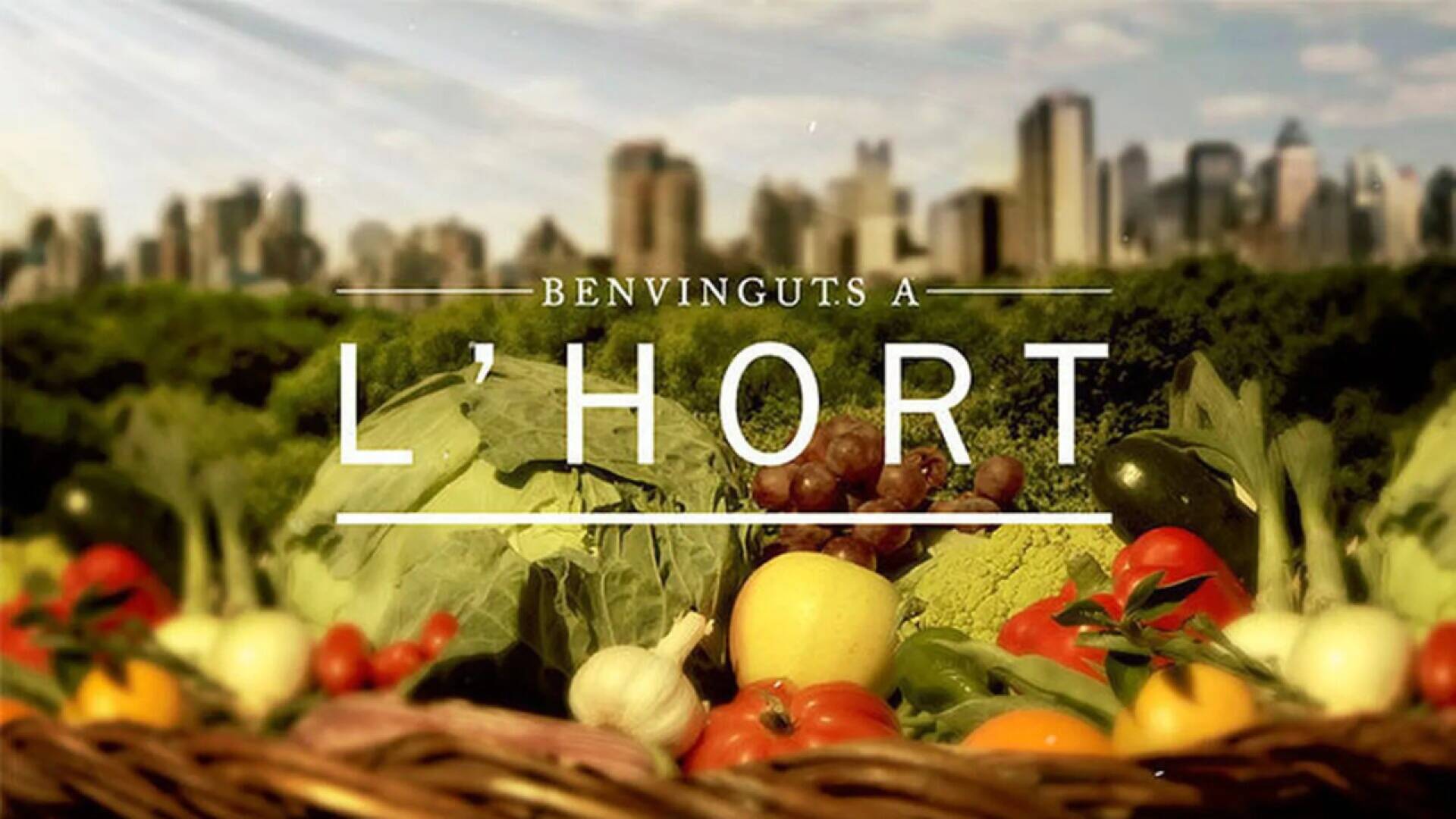 Benvinguts a l'hort: Alls, alls tendres i api