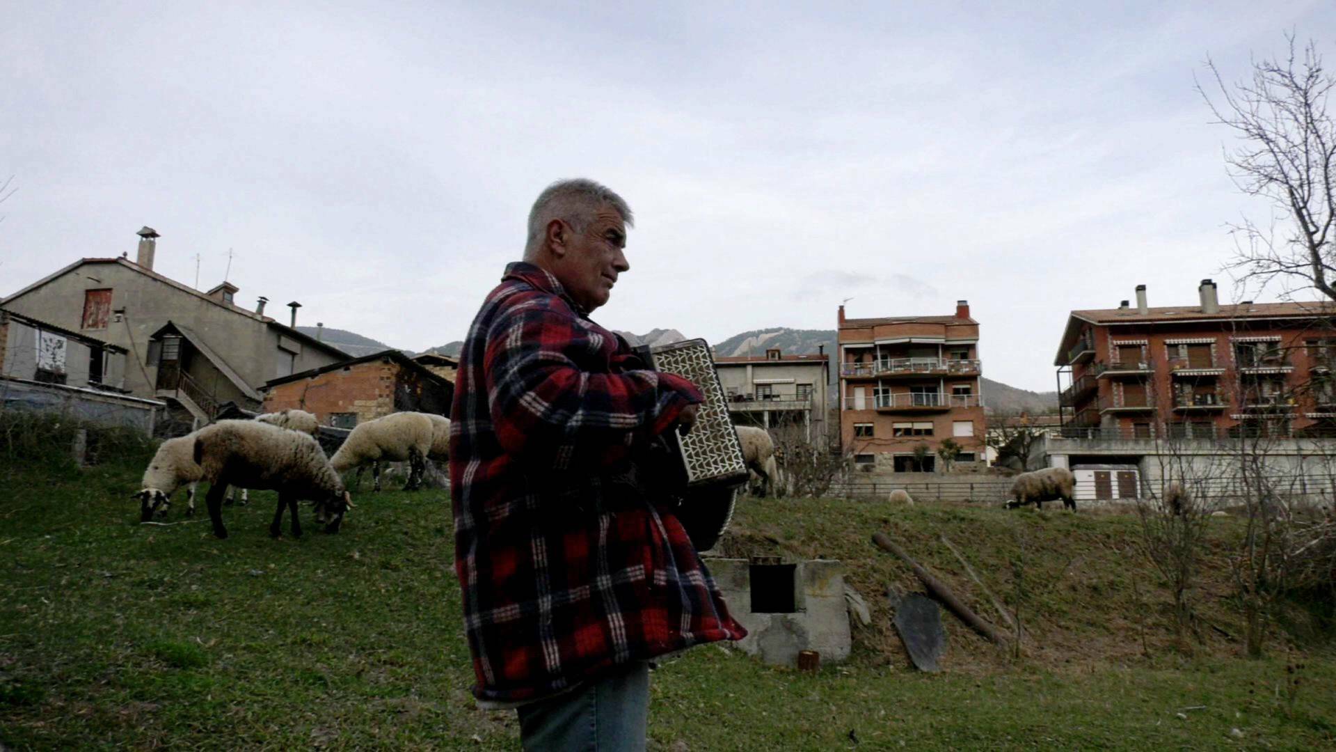 Pastors i ramats: un...: Salvador Queraltó