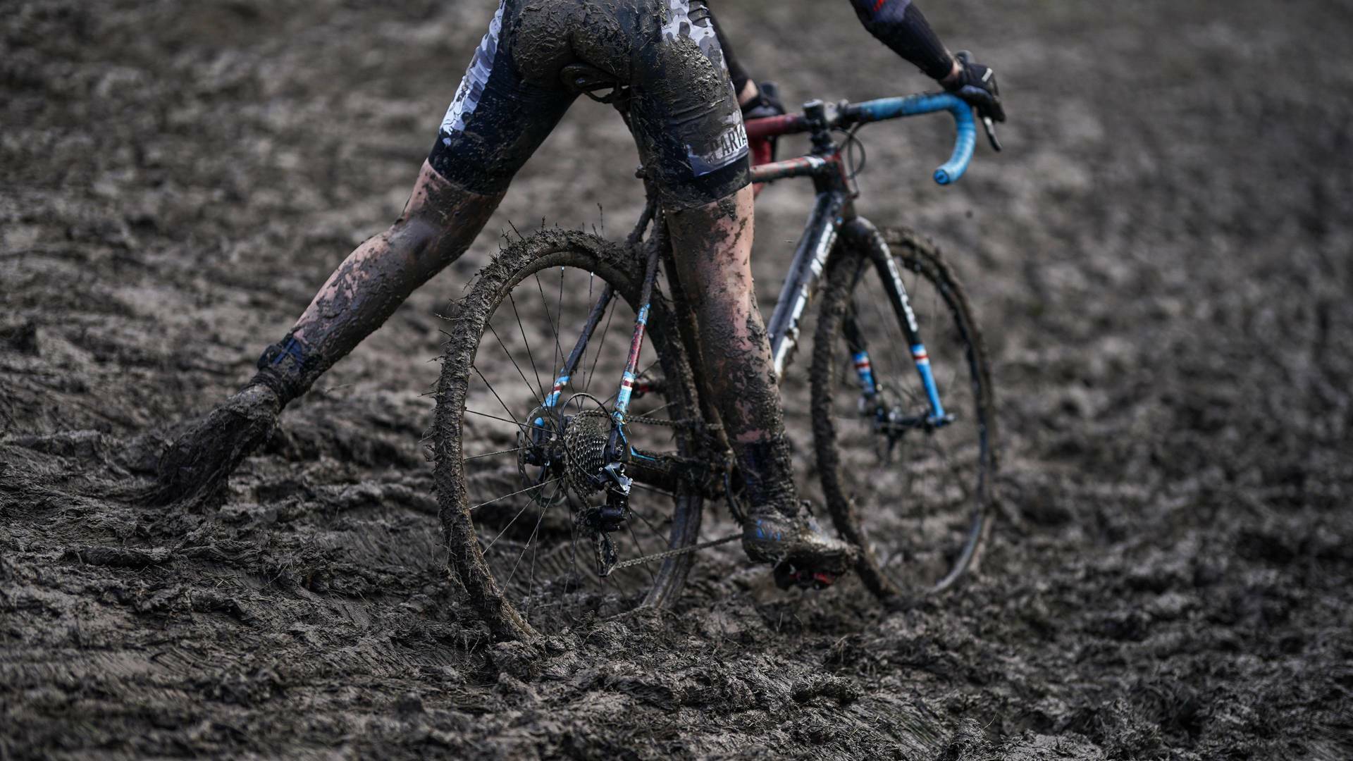 Mundial de ciclocross: Tábor (2024)