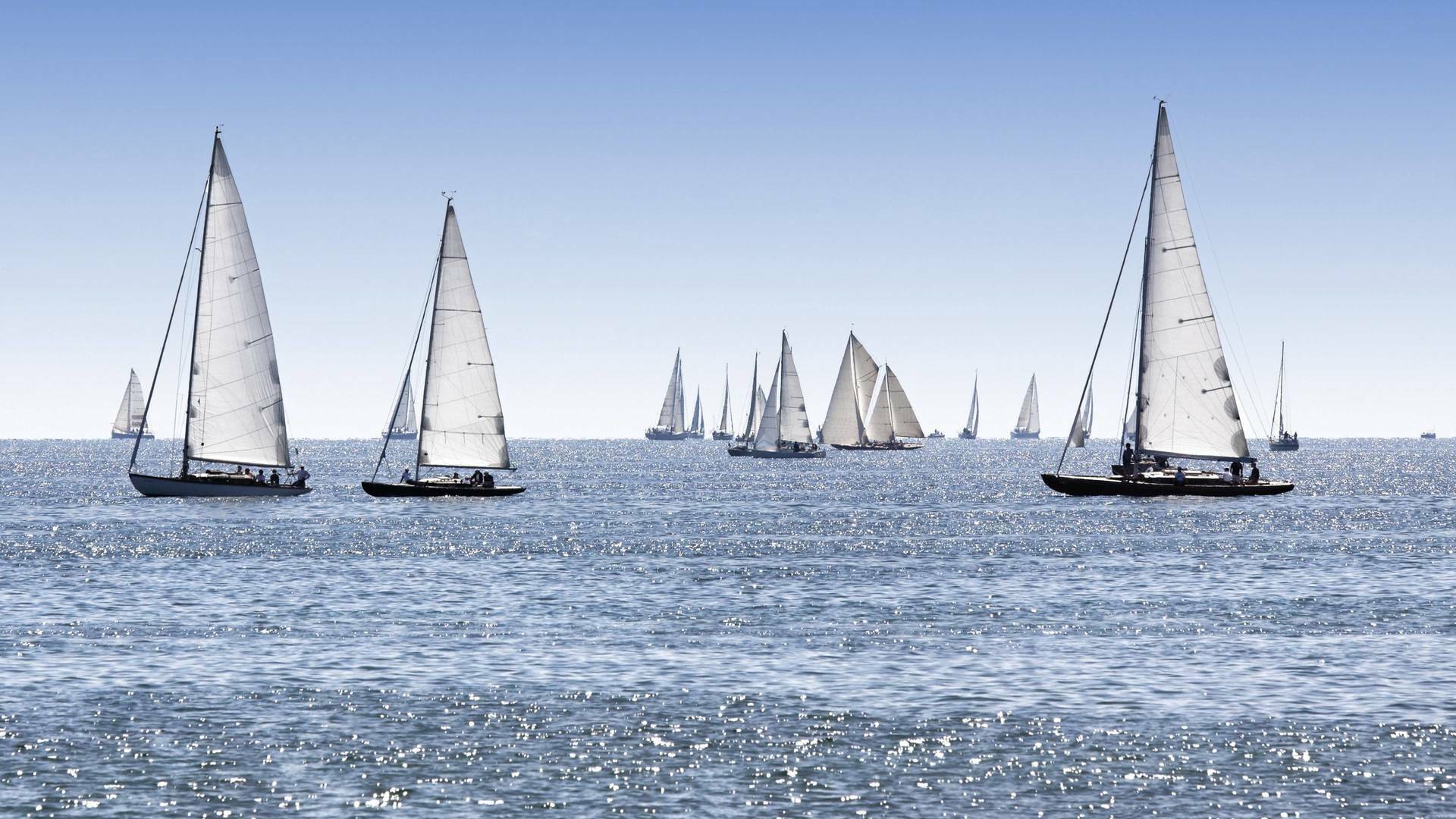 Vendée Globe (24/25): Resumen