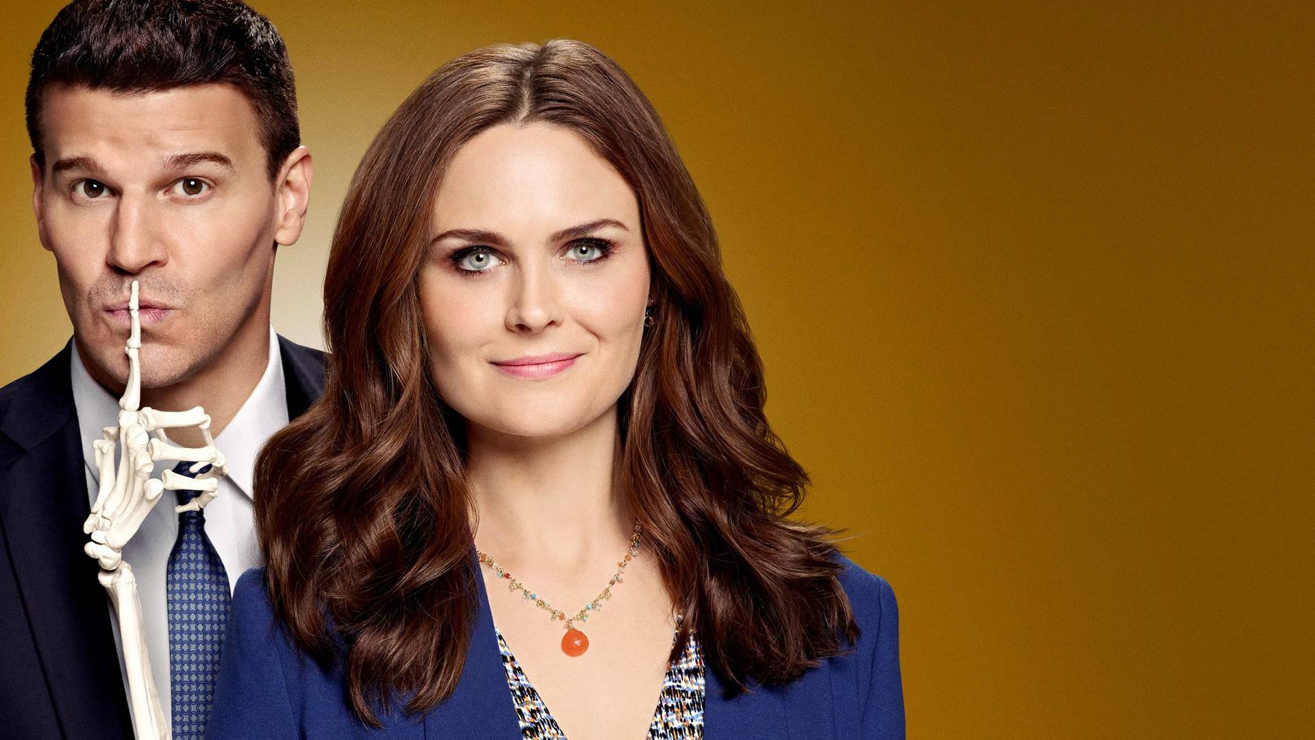 Bones (T9): Ep.12 El fantasma en la asesina