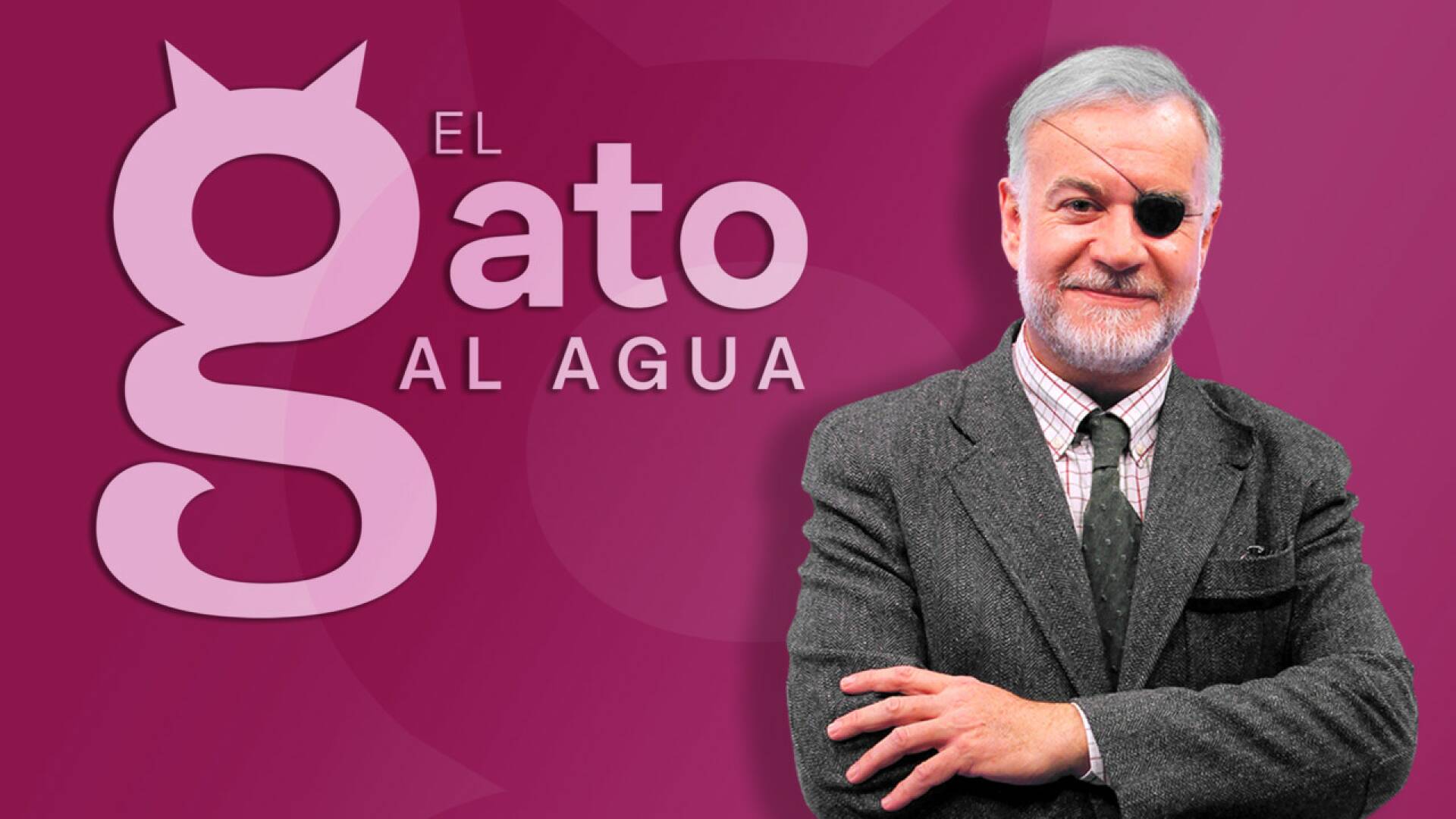 El gato al agua