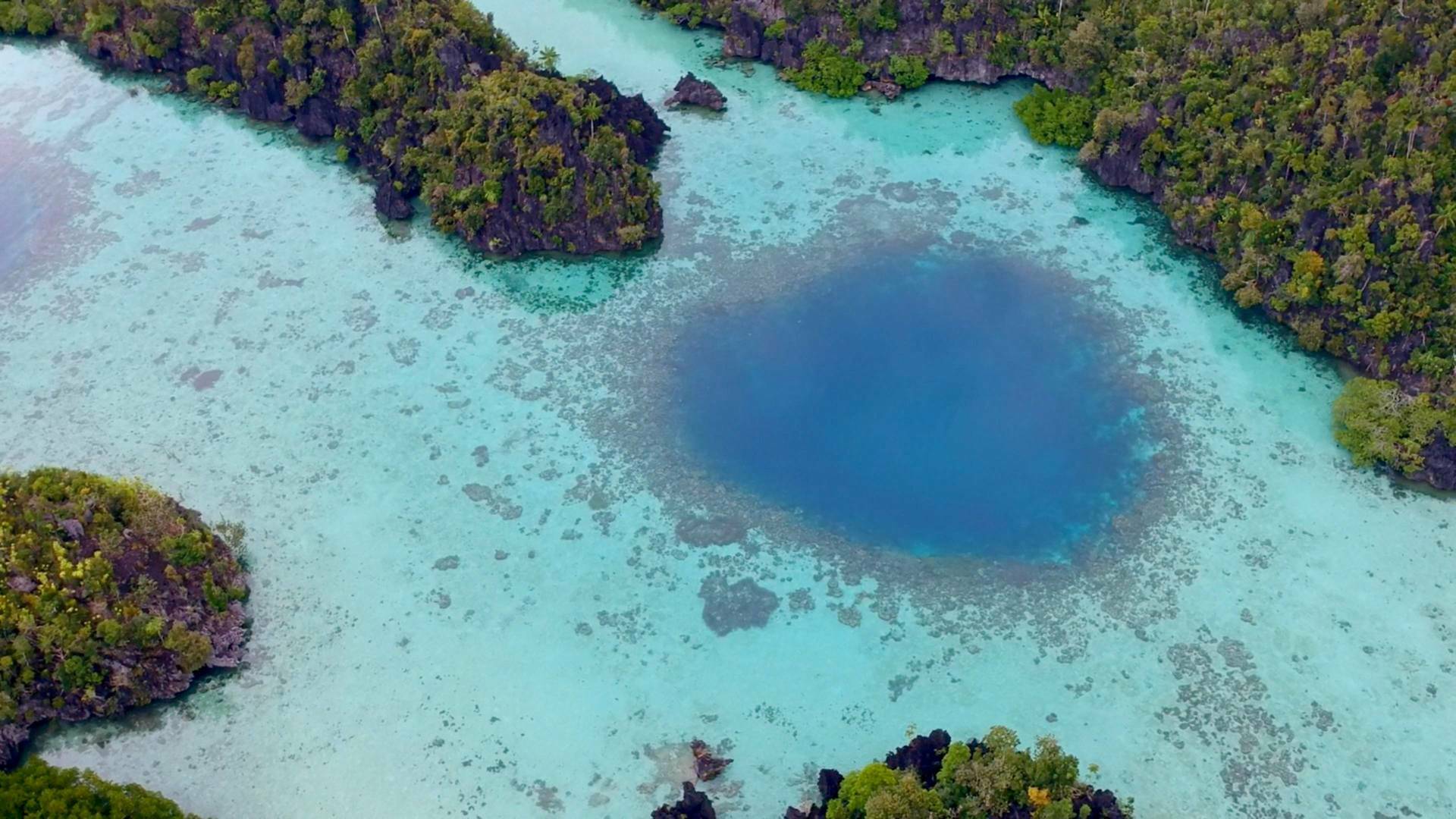 El círculo mágico...: El anillo de fuego