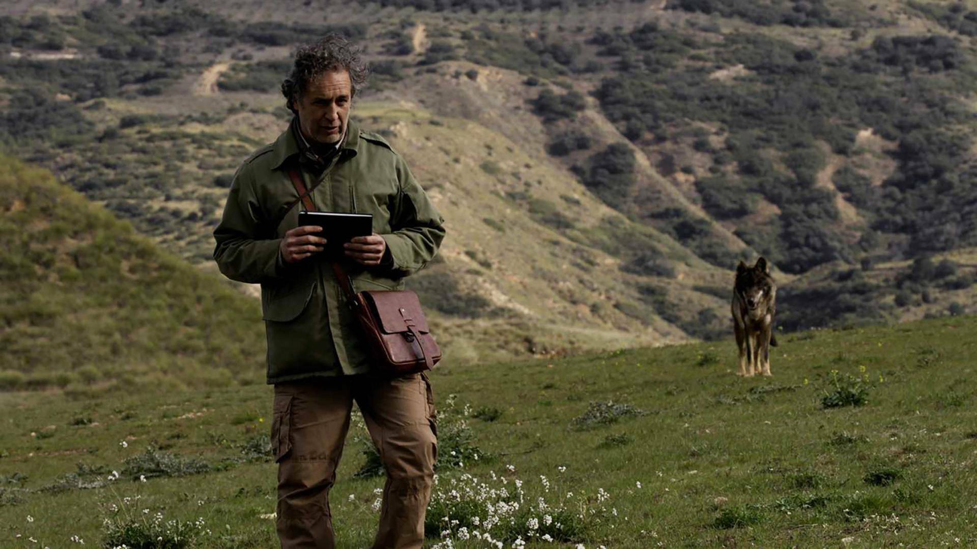 Cuaderno de campo: Turones y comadrejas