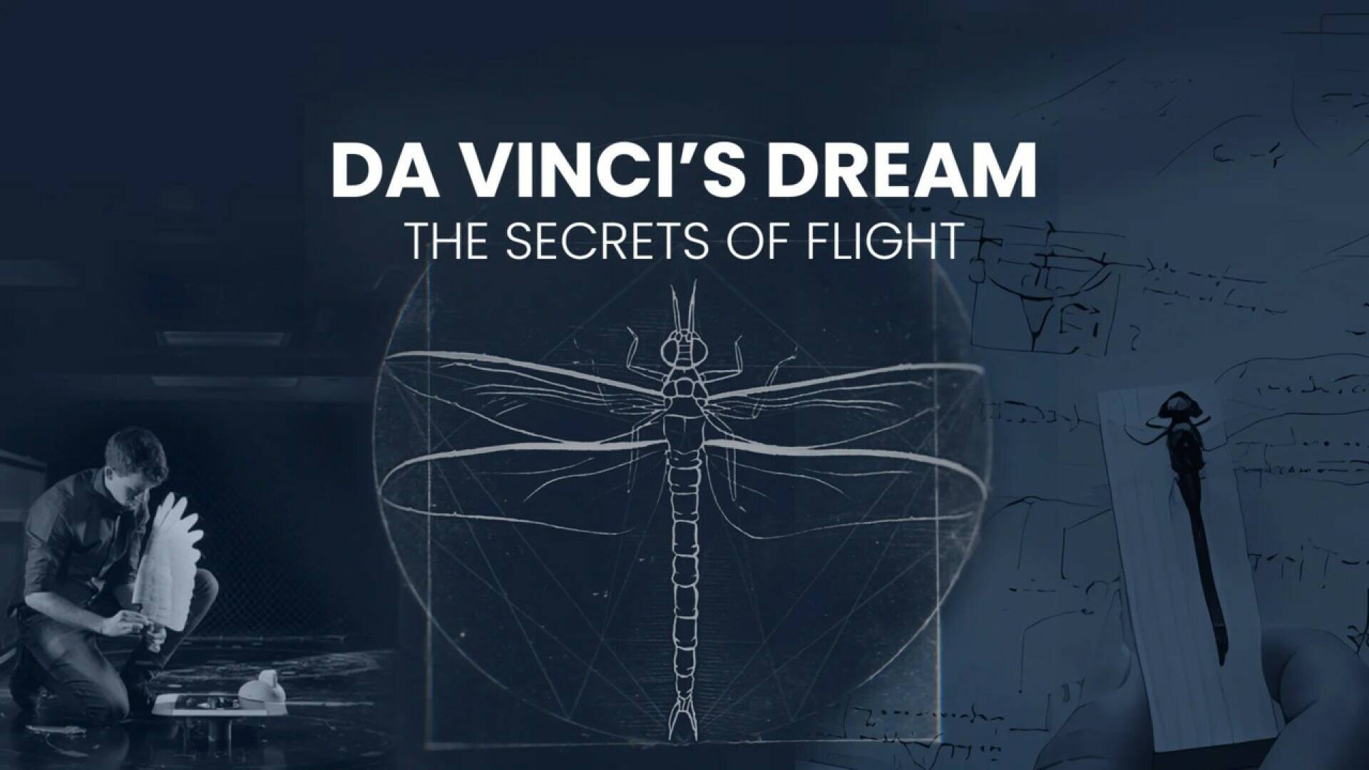 El sueño de da Vinci: los secretos del vuelo